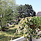 Wohnung Kauf 23611 Bad Schwartau Balkon II