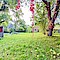 Haus Kauf 24589 Ellerdorf Garten 