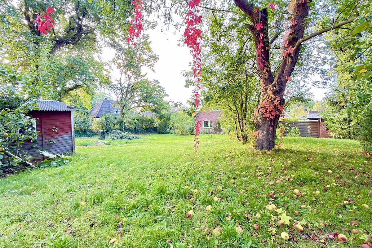 Haus Kauf 24589 Ellerdorf Garten