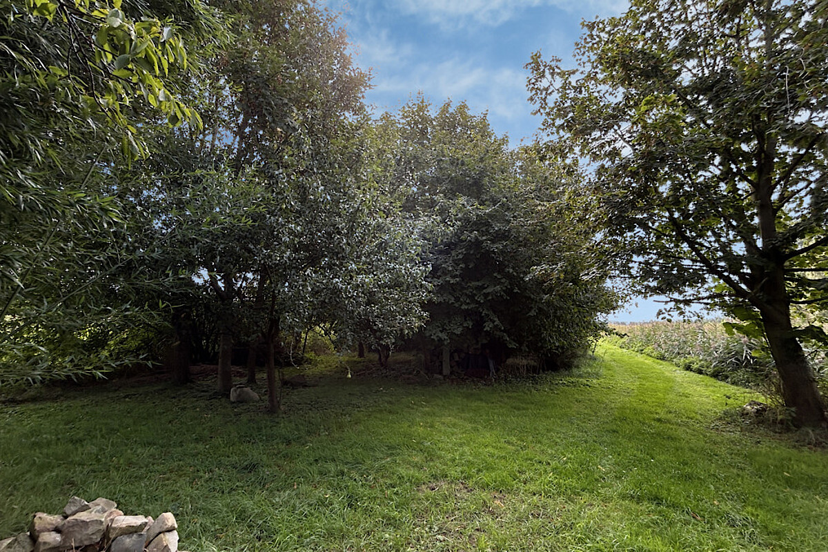 Haus Kauf 21217 Seevetal (Bullenhausen) Gartenfläche