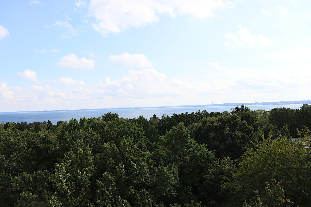 Wohnung Kauf 23730 Sierksdorf Ausblick
