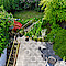 Haus Kauf 22523 Hamburg Garten