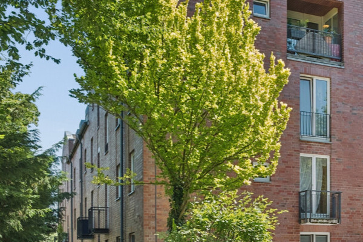 Wohnung Kauf 22149 Hamburg _DSF3218