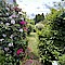 Haus Kauf 24629 Kisdorf , Holst Garten