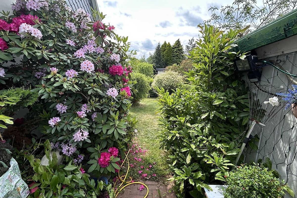 Haus Kauf 24629 Kisdorf , Holst Garten