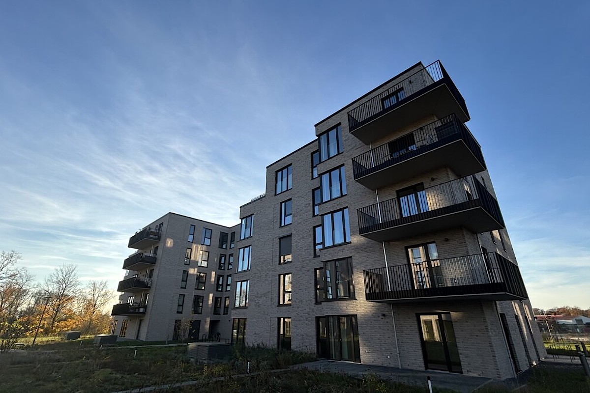 Wohnung Kauf 21502 Geesthacht Außenansicht 