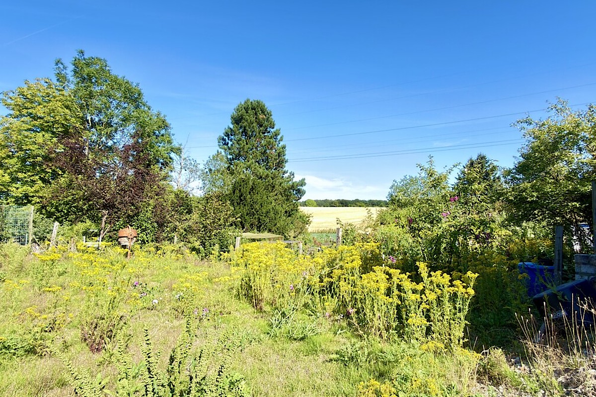 Haus Kauf 24222 Klausdorf , Schwentine Gartenansicht