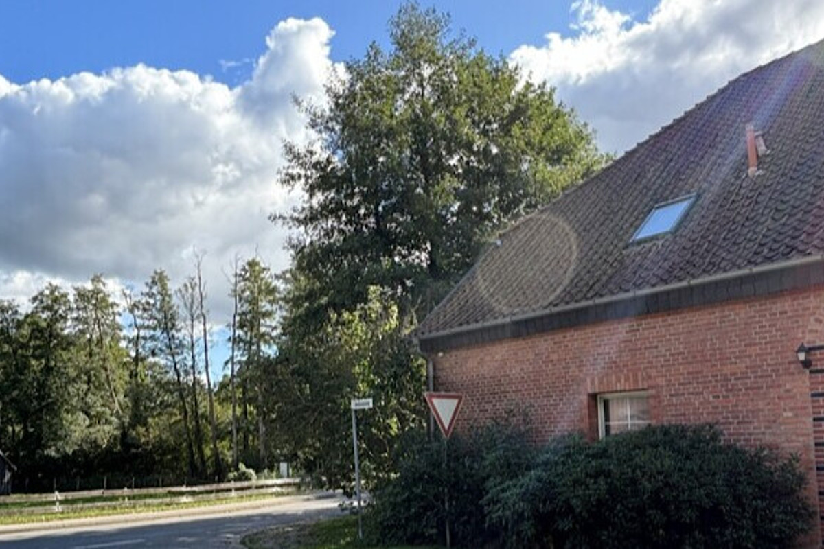 Haus Kauf 21406 Barnstedt , Kr Lüneburg Impressionen