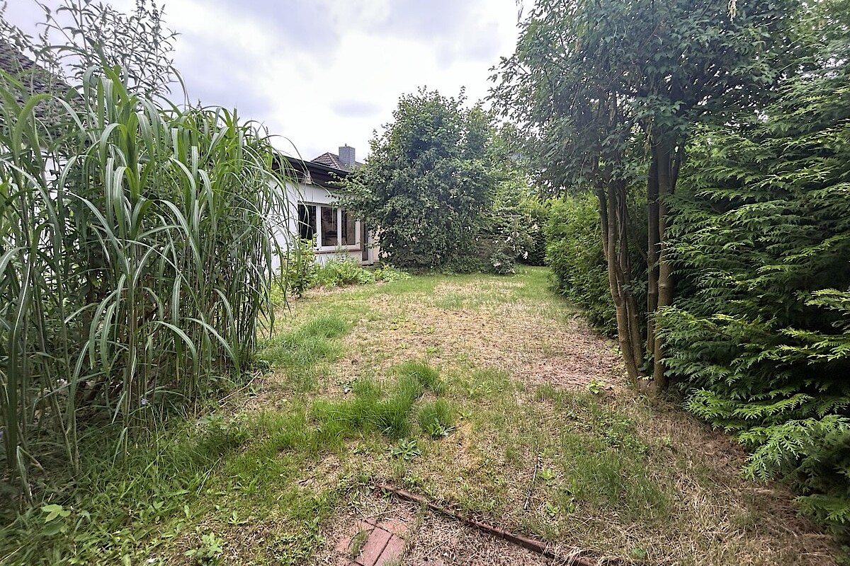 Haus Kauf 22926 Ahrensburg Blick in den Garten
