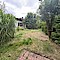 Haus Kauf 22926 Ahrensburg Blick in den Garten